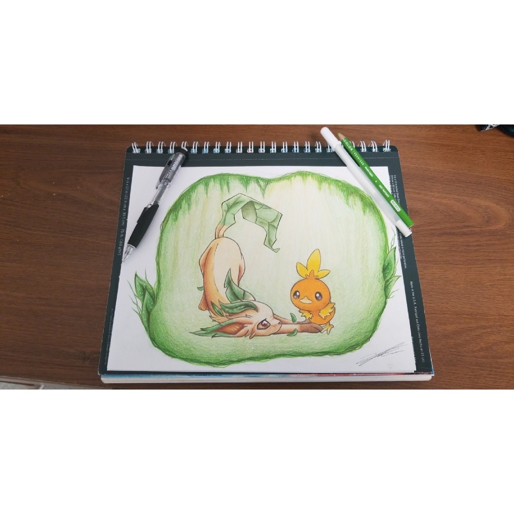 Leafeon and Torchic Commission